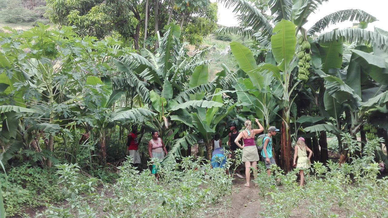 Villa Sao Jose Pedra Badejo  Kültér fotó