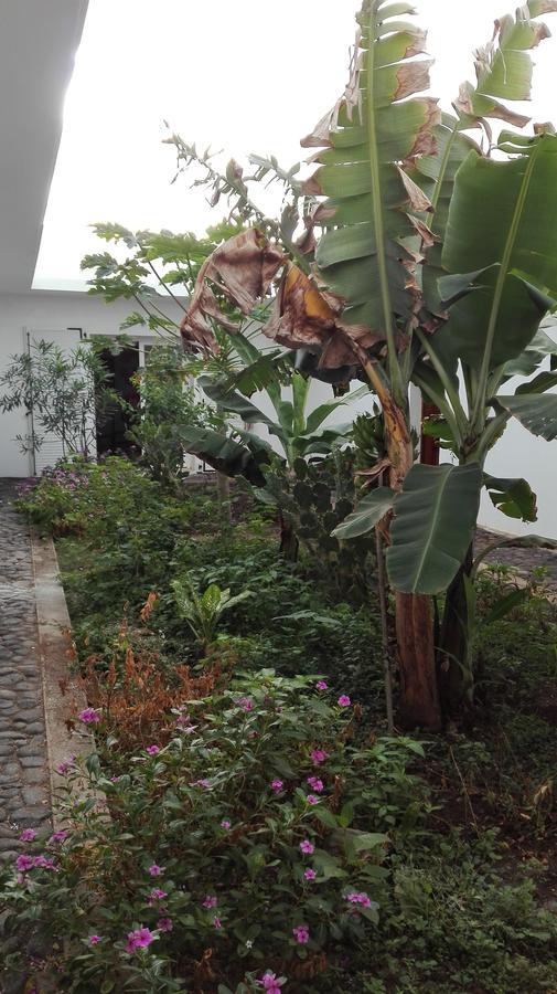 Villa Sao Jose Pedra Badejo  Kültér fotó